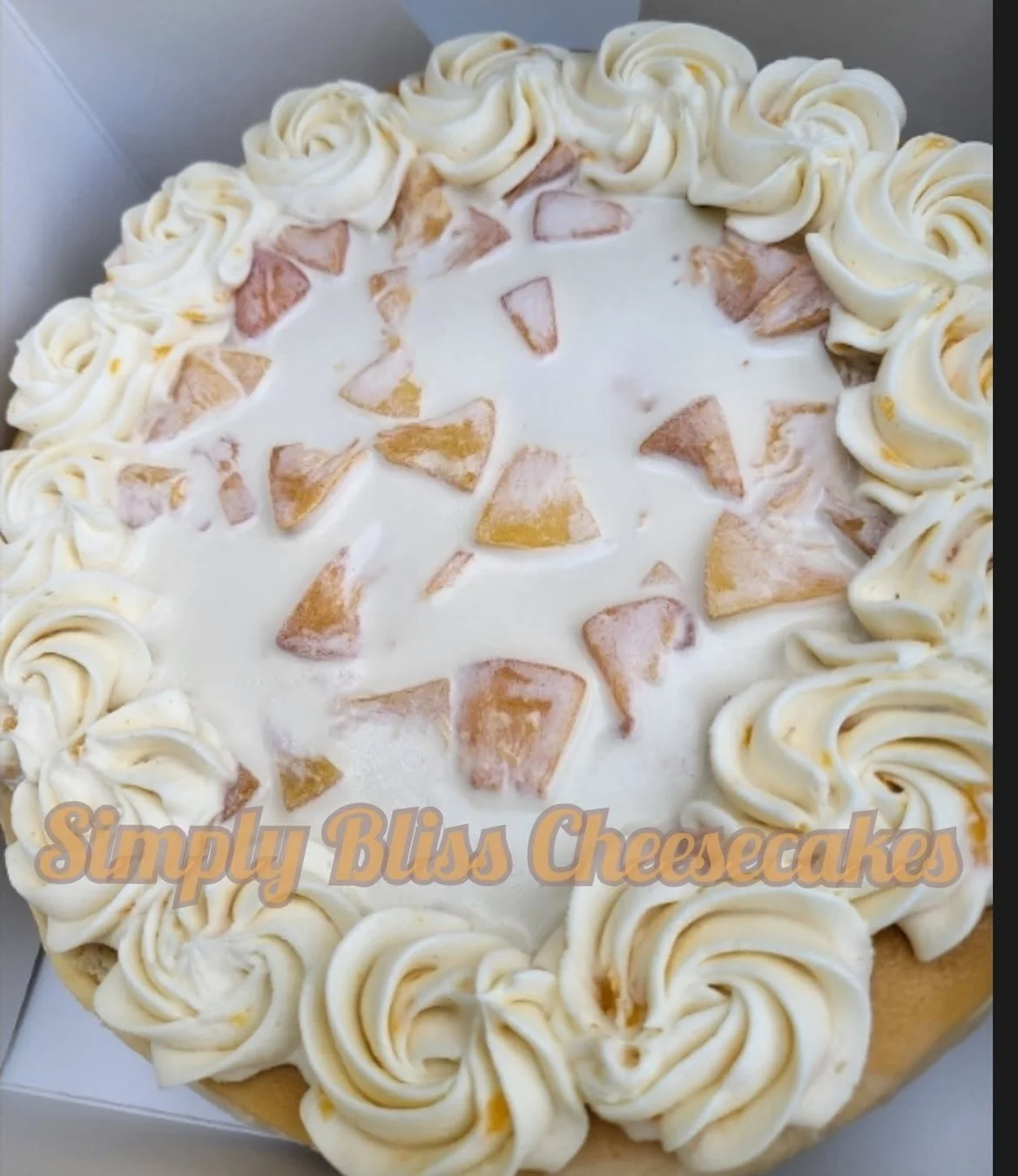 A whole cheesecake decorated with rows of ivory frosting rosettes